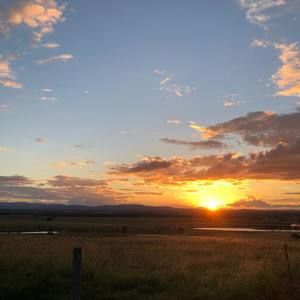 Meet your Posher, Sue